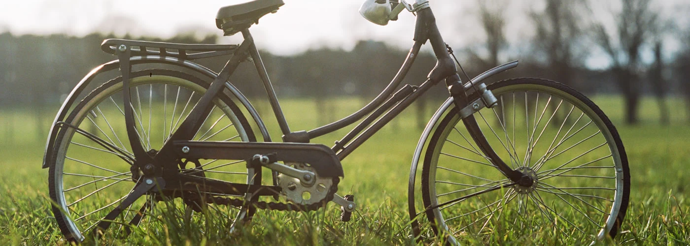 Frame, Tires, Brakes and Gears